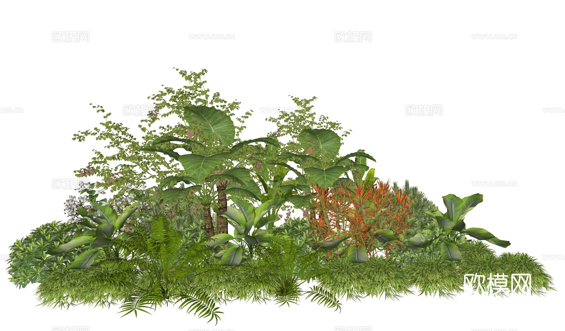 现代庭院植物堆景观组合su模型