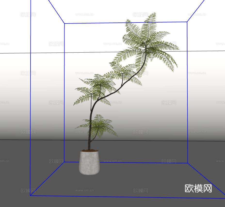 绿植盆栽su模型