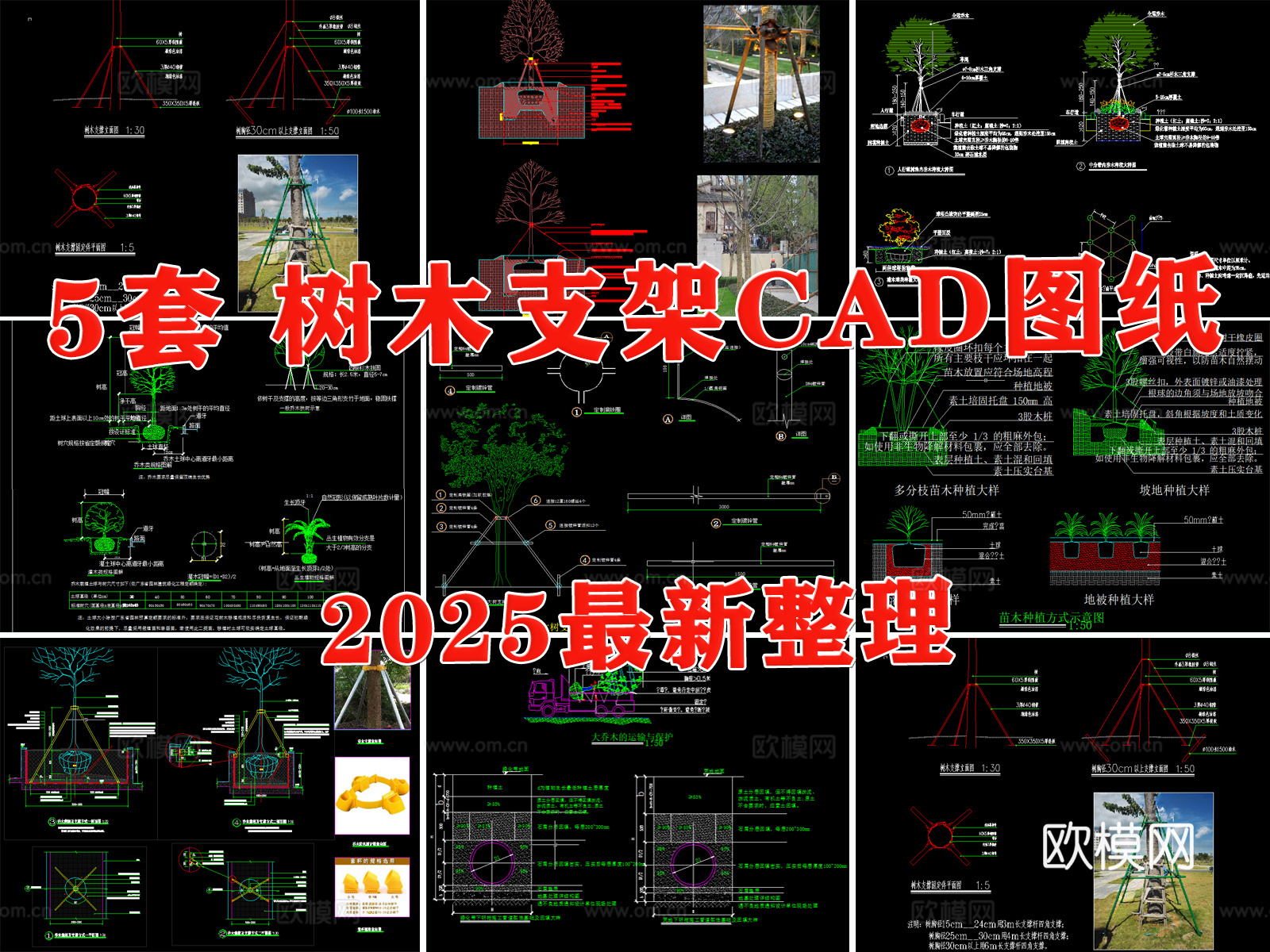 树木支架 乔木支架 树木支撑 栽植支撑 大树支撑cad施工图