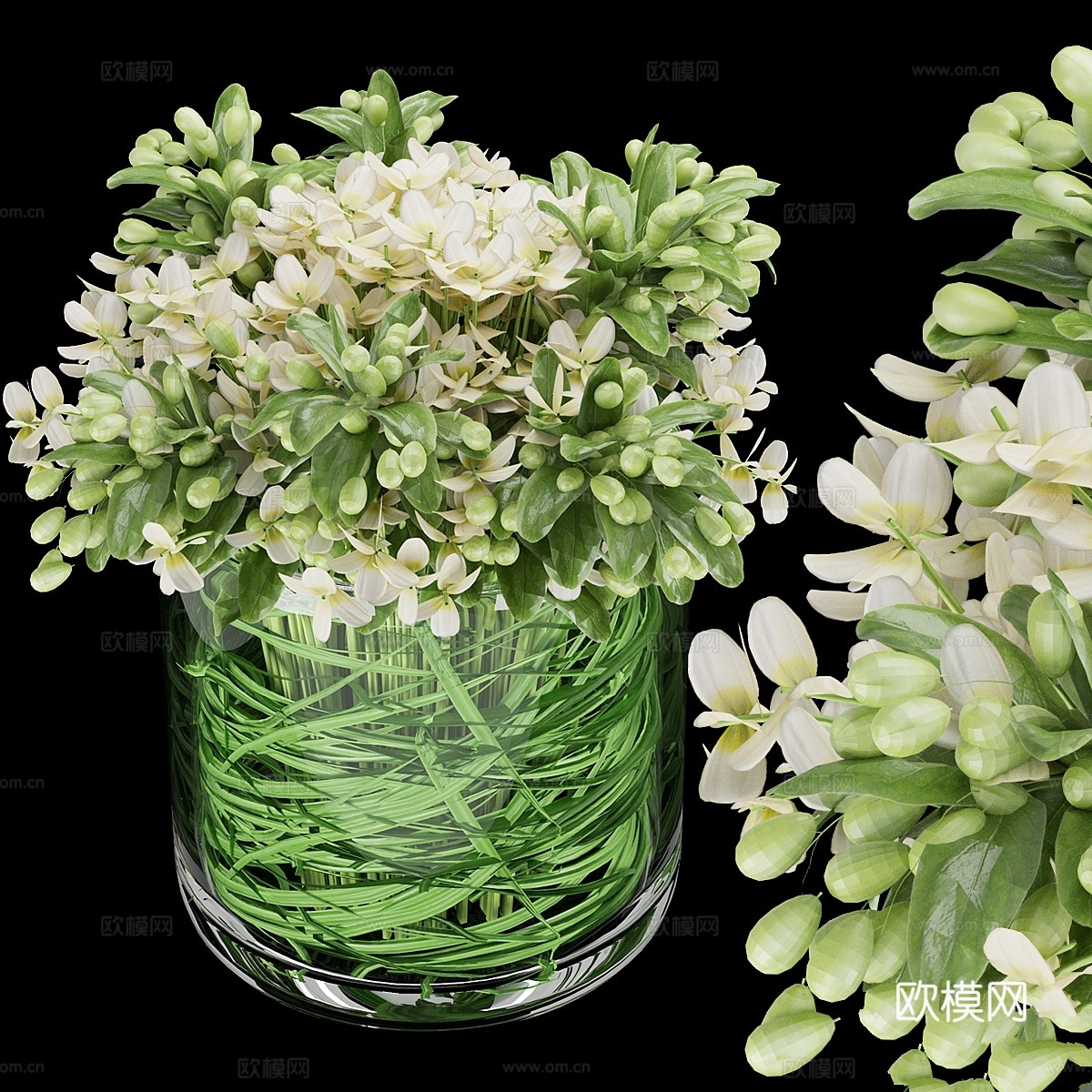 植物集锦第123辑3d模型下载