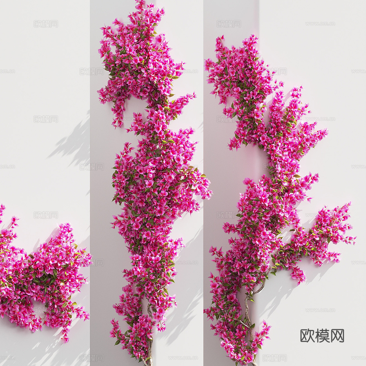 现代九重葛绿植墙 植物墙3d模型