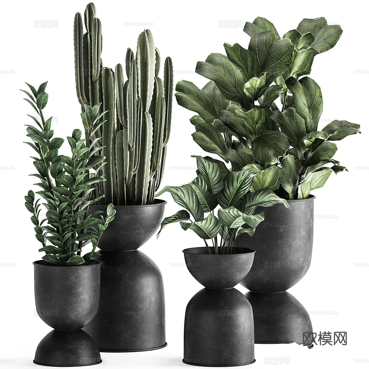 黑色金属盆栽异域小花系列3d模型