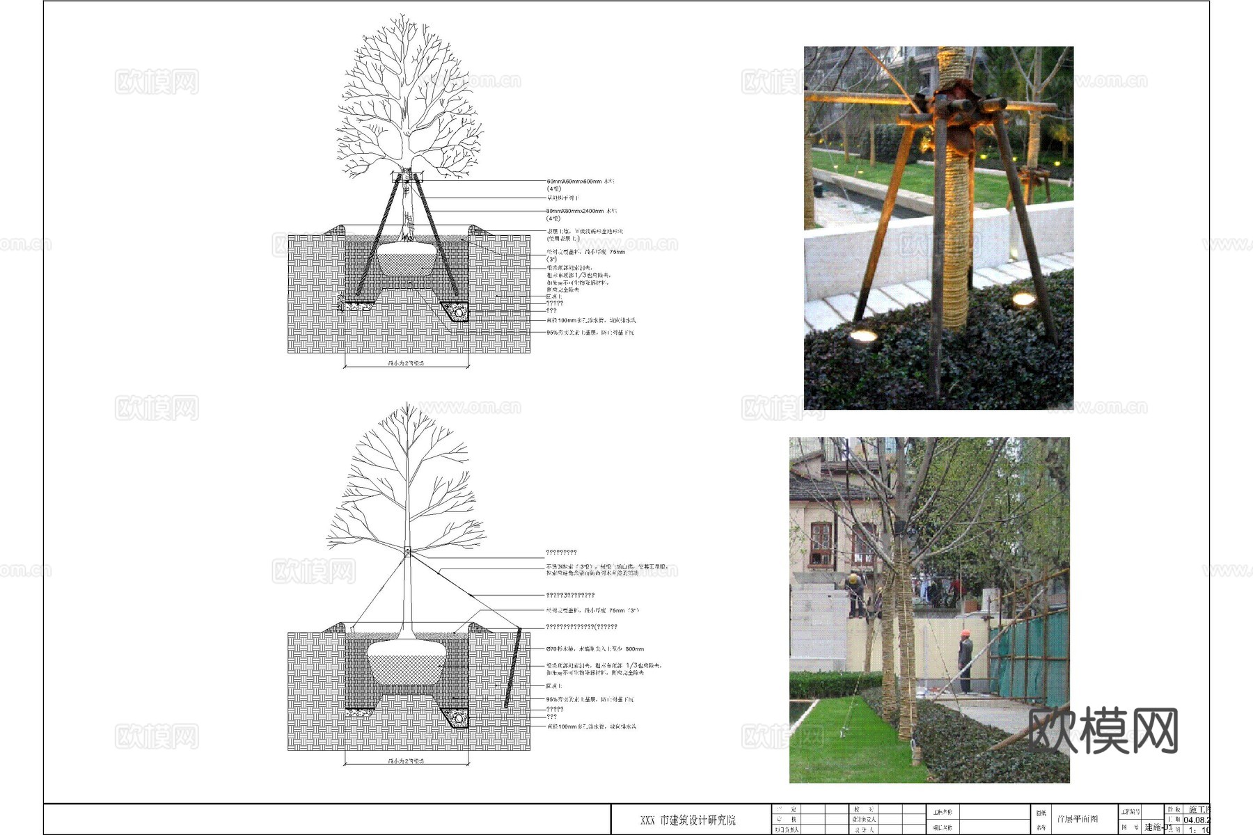 树木支架 乔木支架 树木支撑 栽植支撑 大树支撑cad施工图