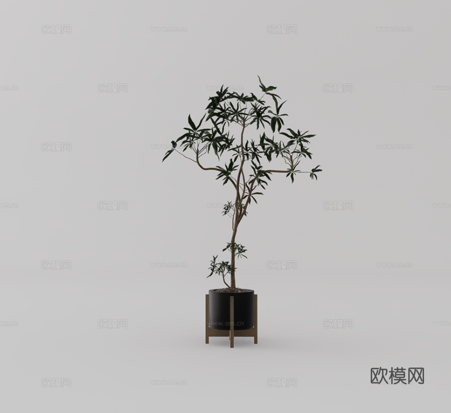 绿植盆栽su模型
