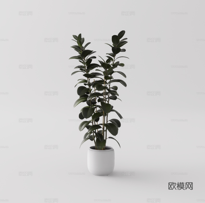 绿植盆栽su模型下载（渲染图1）