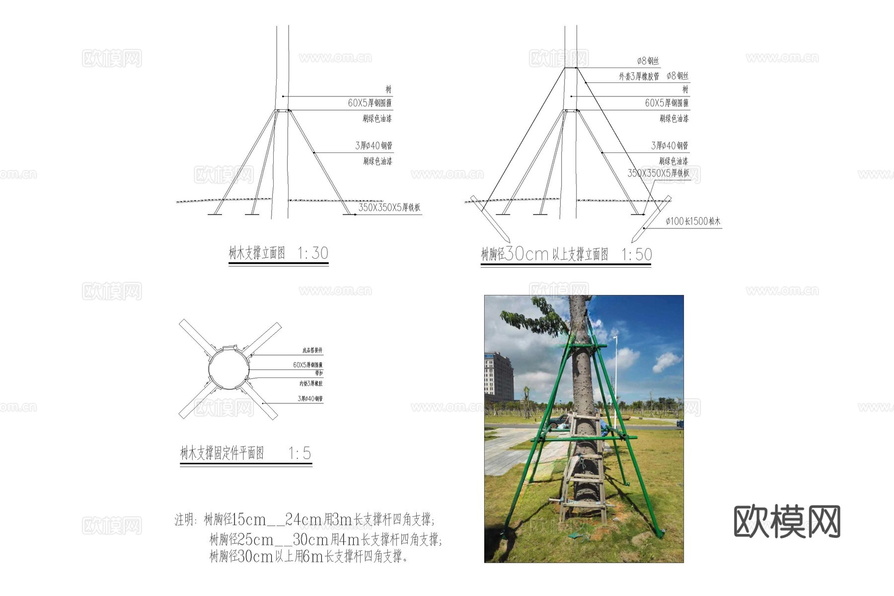 树木支架 乔木支架 树木支撑 栽植支撑 大树支撑cad施工图