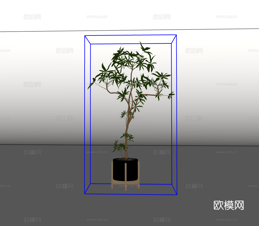 绿植盆栽su模型