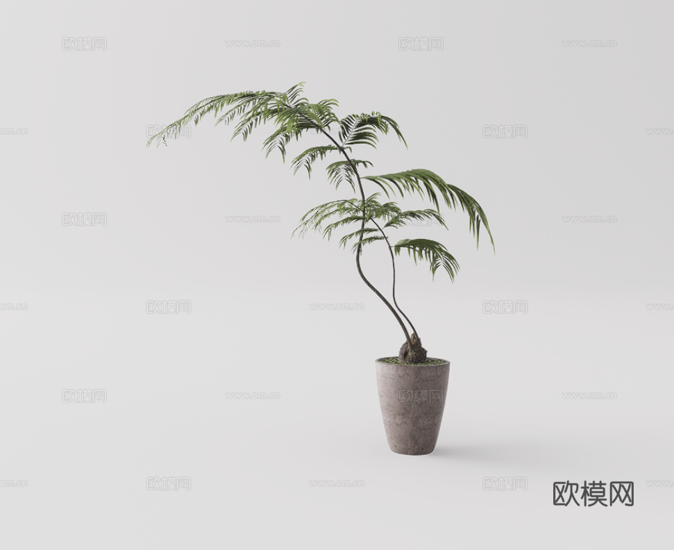 绿植盆栽su模型下载（渲染图1）