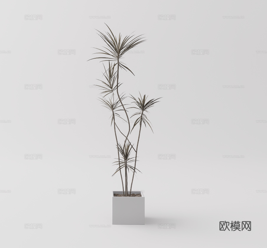 绿植盆栽su模型