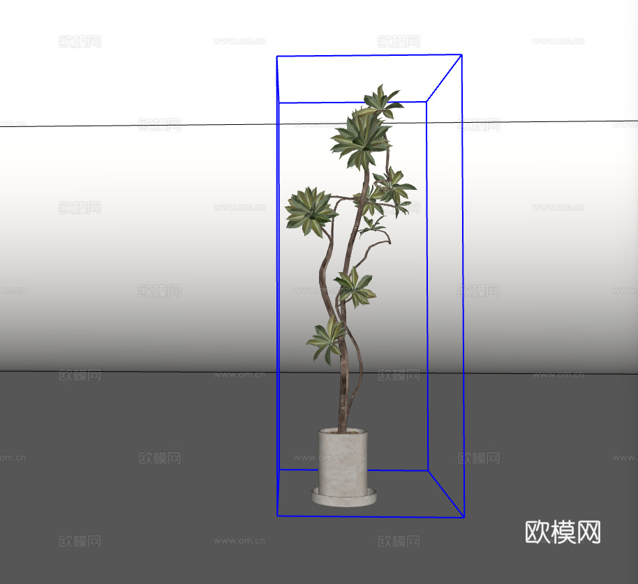 绿植盆栽su模型