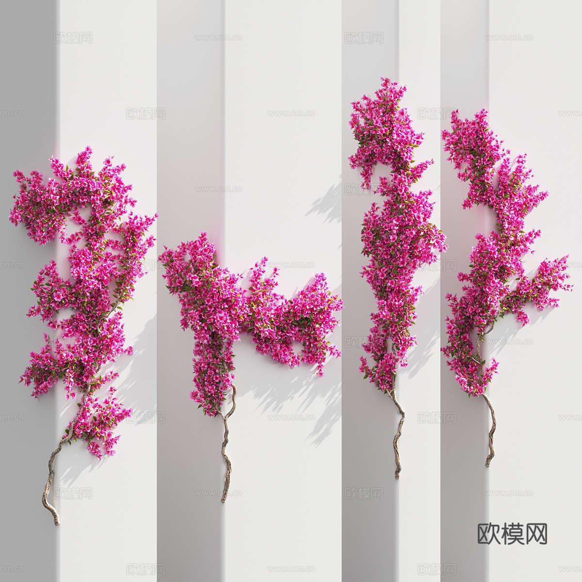 现代九重葛绿植墙 植物墙3d模型