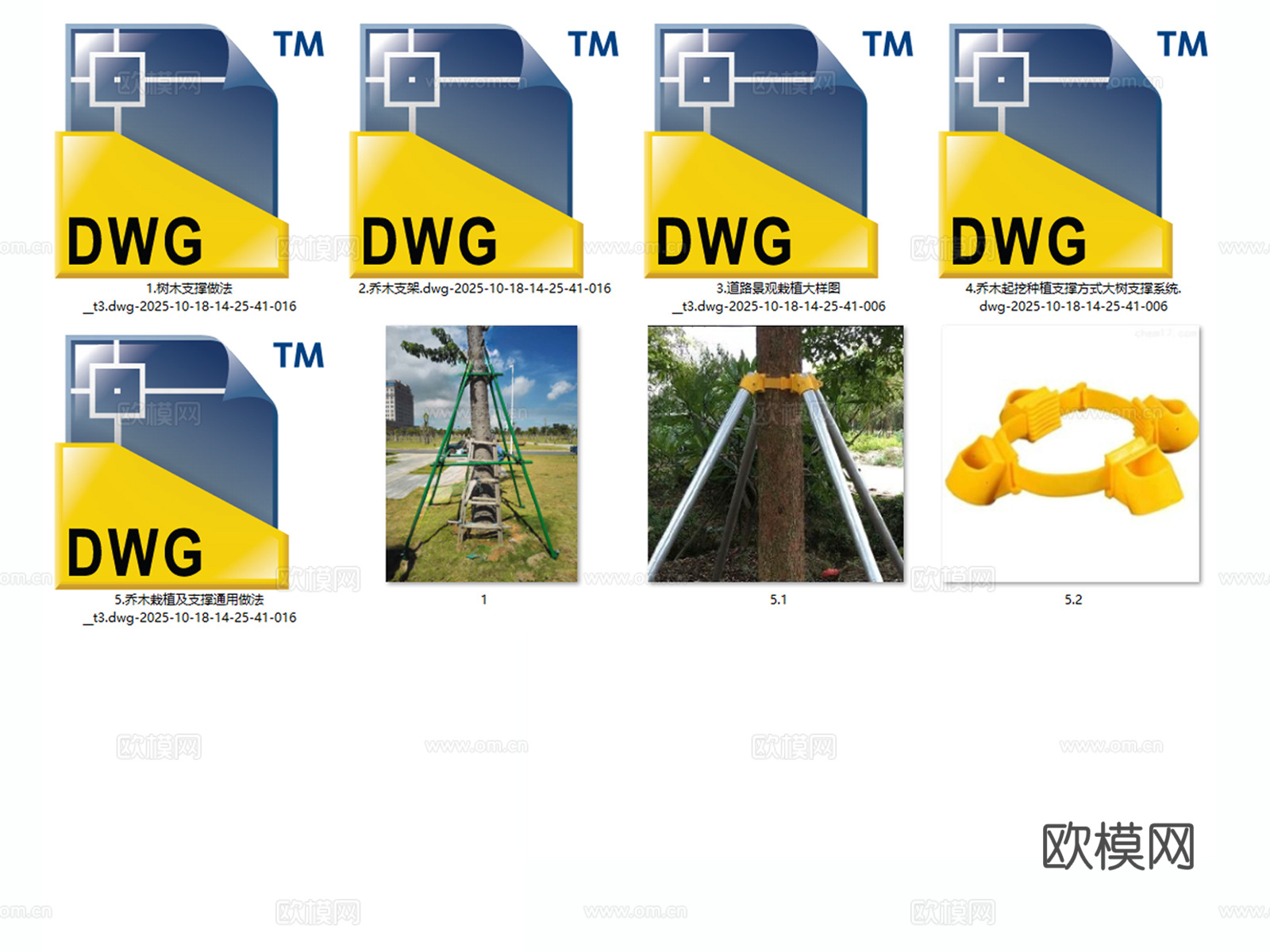 树木支架 乔木支架 树木支撑 栽植支撑 大树支撑cad施工图
