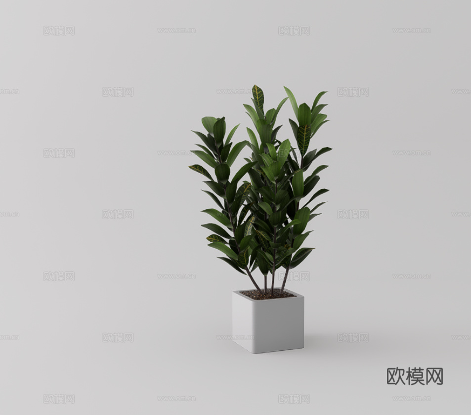 绿植盆栽su模型