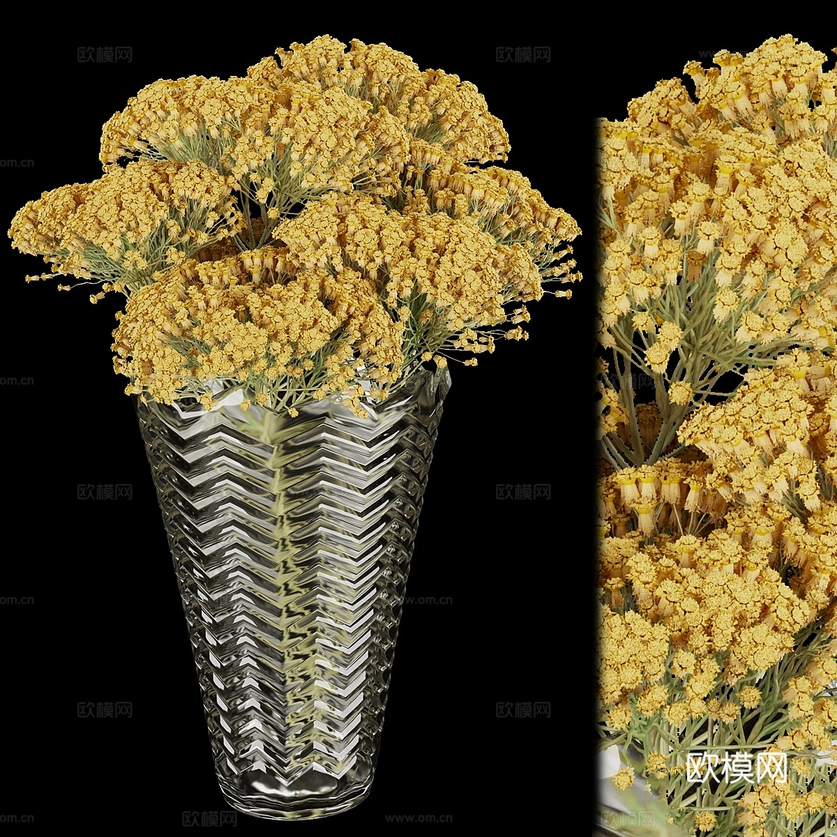 植物集锦第160辑3d模型下载