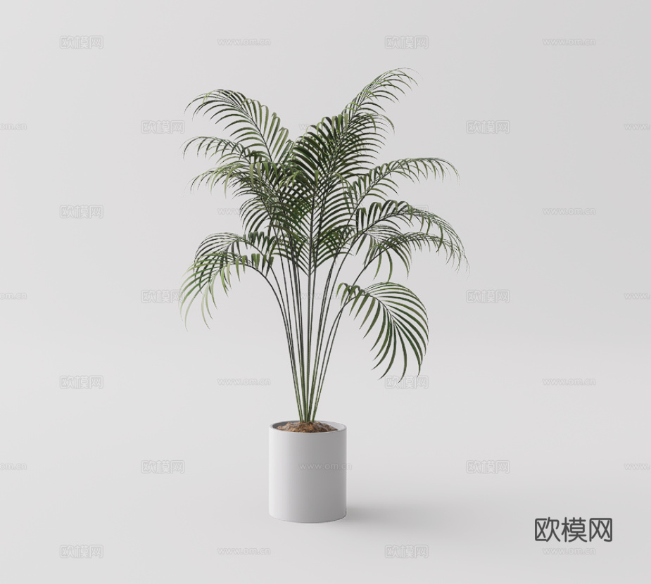 绿植盆栽su模型下载（渲染图1）