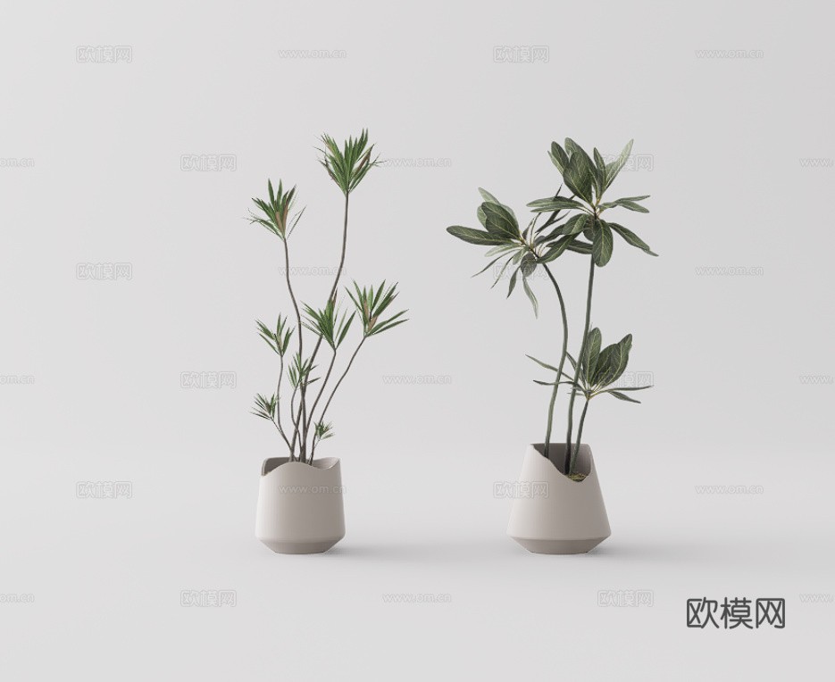 绿植盆栽su模型下载（渲染图1）