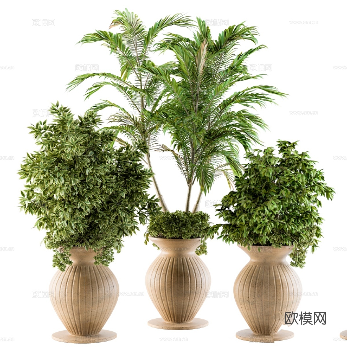 户外植物 - 套装883d模型下载