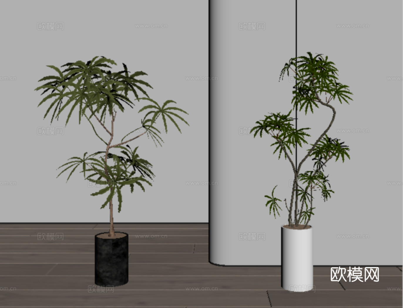 现代植物盆栽盆景 绿植组合su模型