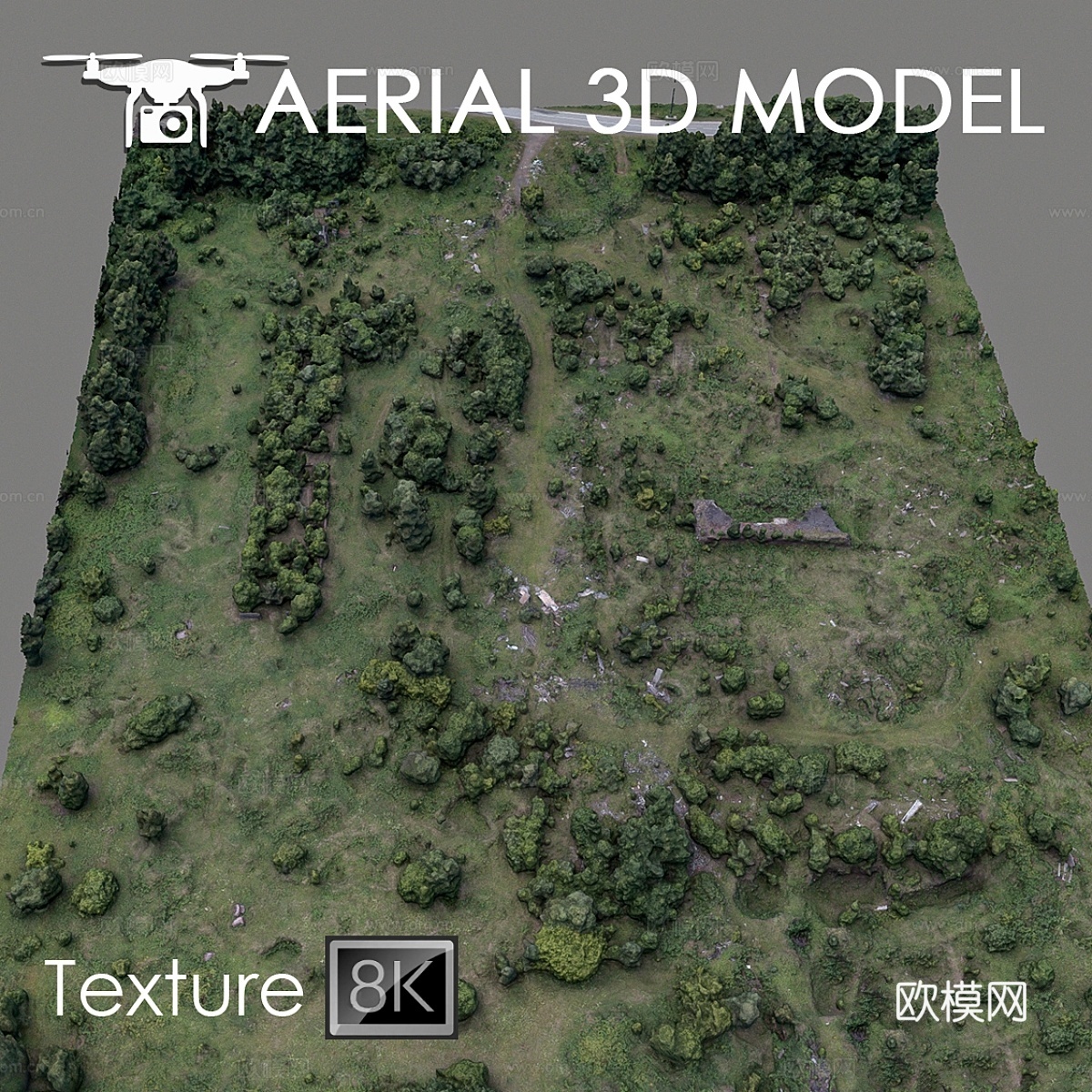 森林603d模型下载