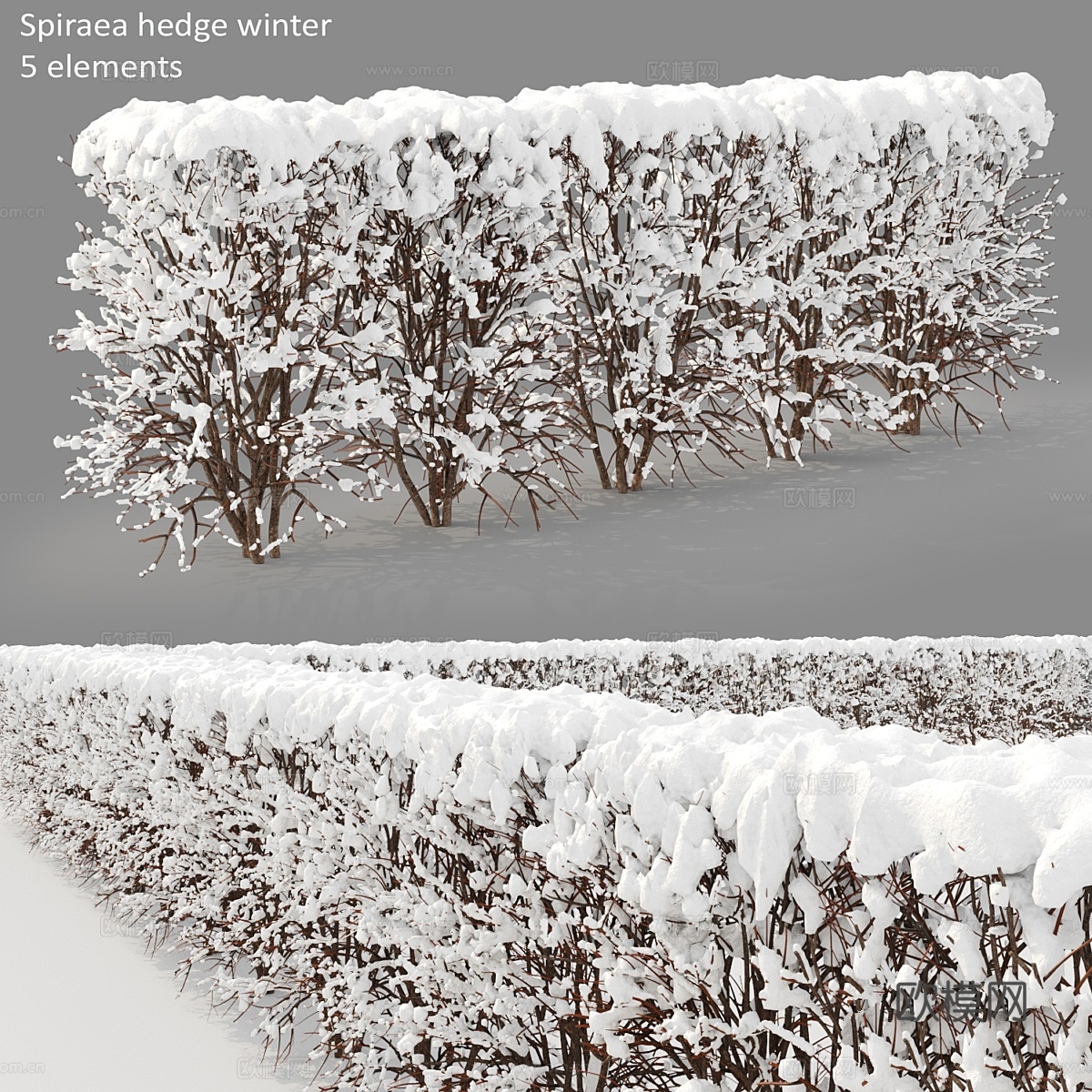 冬日树篱3d模型下载