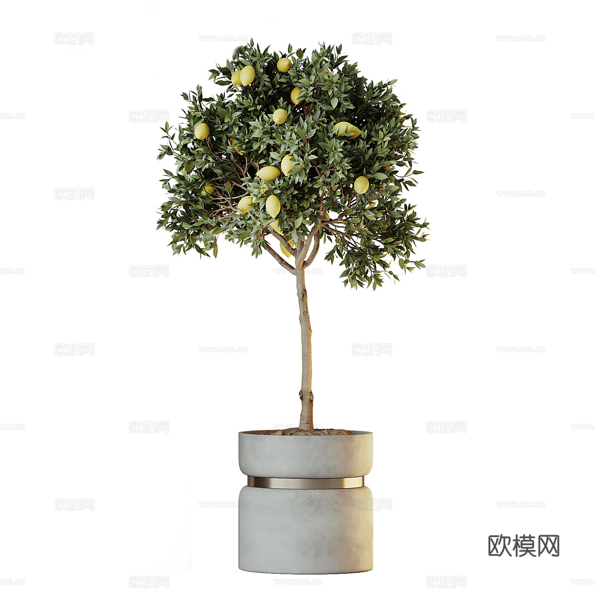 新中式侘寂绿植盆栽 橙子树 柠檬树3d模型