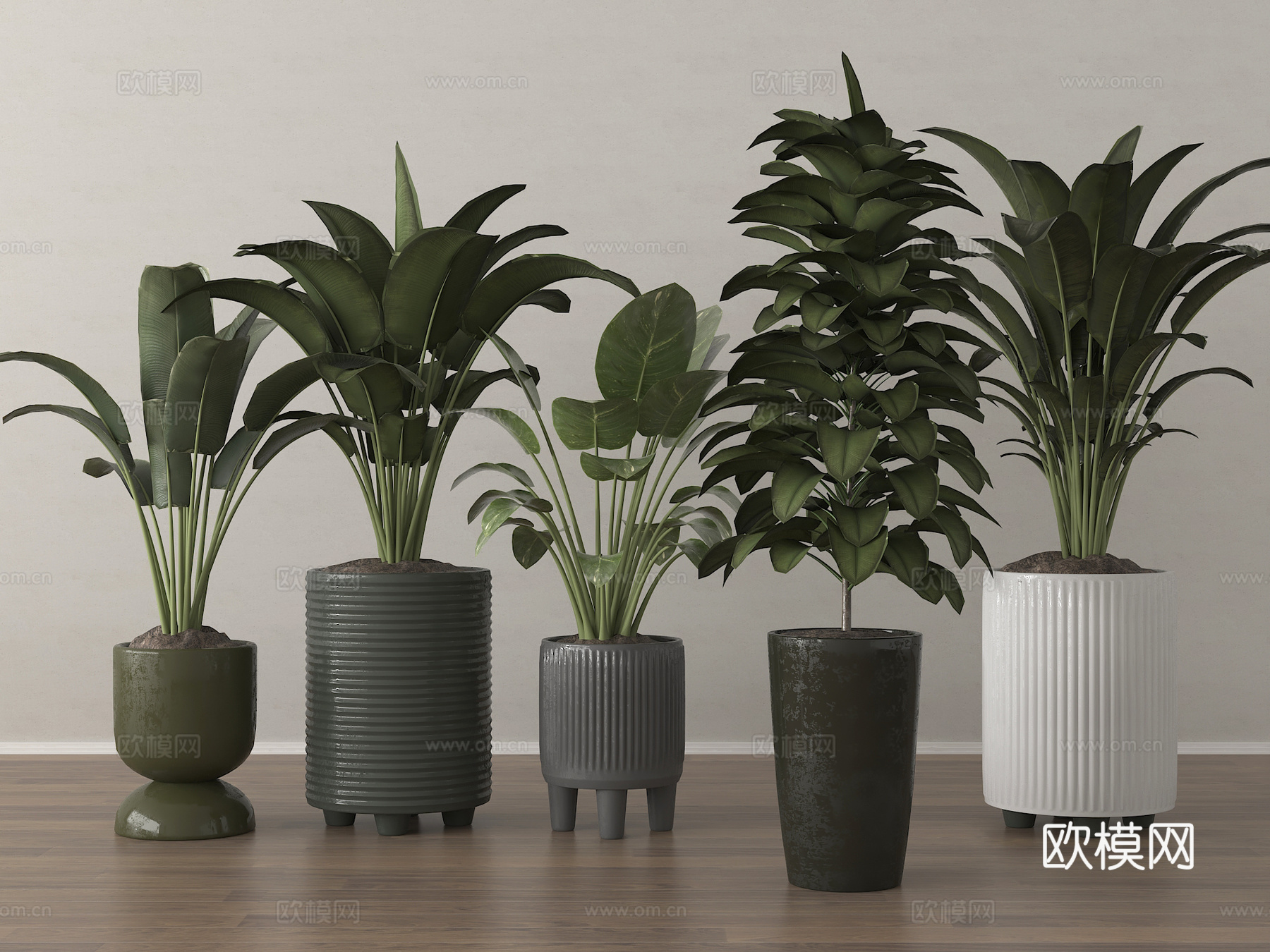 现代盆栽 绿植组合su模型