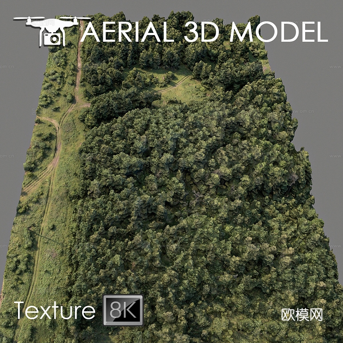 森林743d模型下载