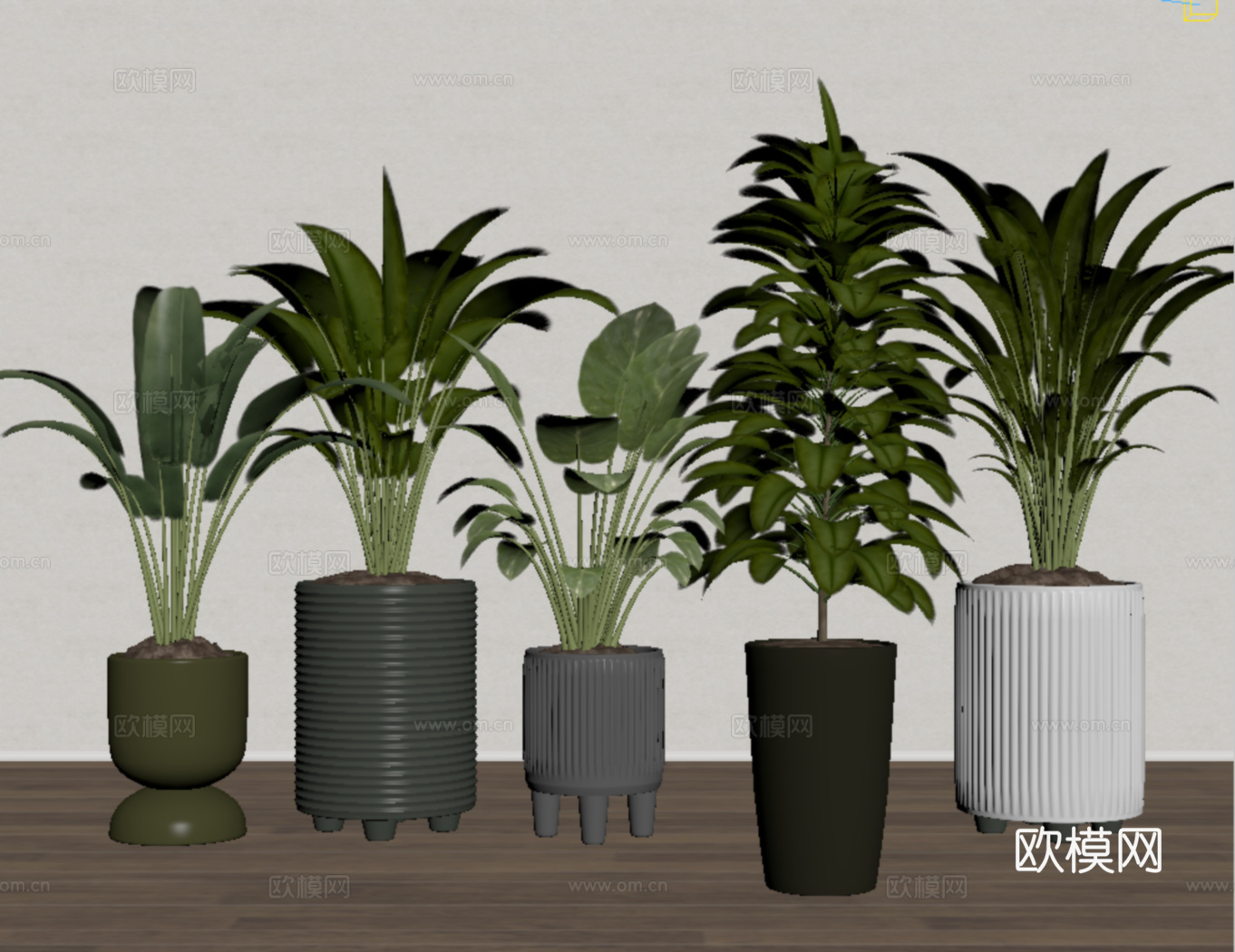 现代盆栽 绿植组合su模型