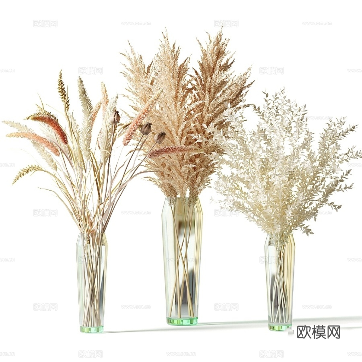 玻璃花瓶干花束套装13d模型
