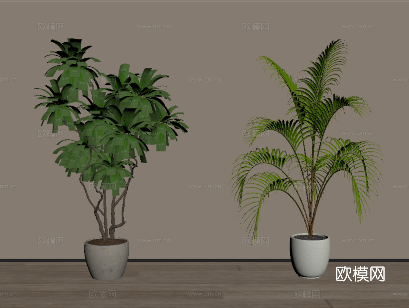 现代植物盆栽盆景 绿植组合su模型