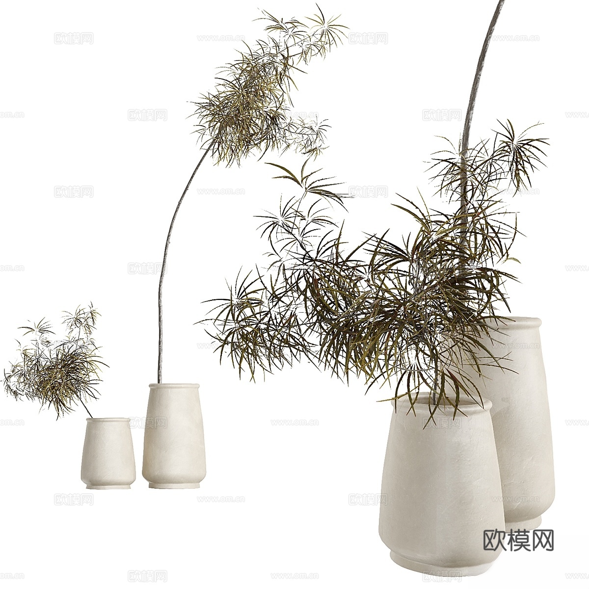 2 POT COCOJAR-M-WHIT TineKhome3d模型下载