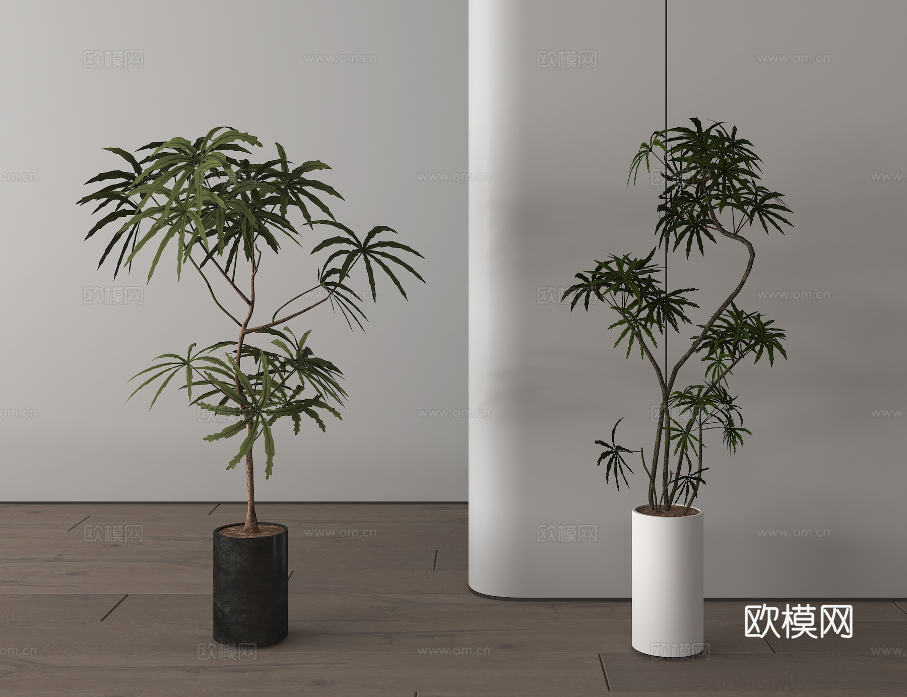 现代植物盆栽盆景 绿植组合su模型