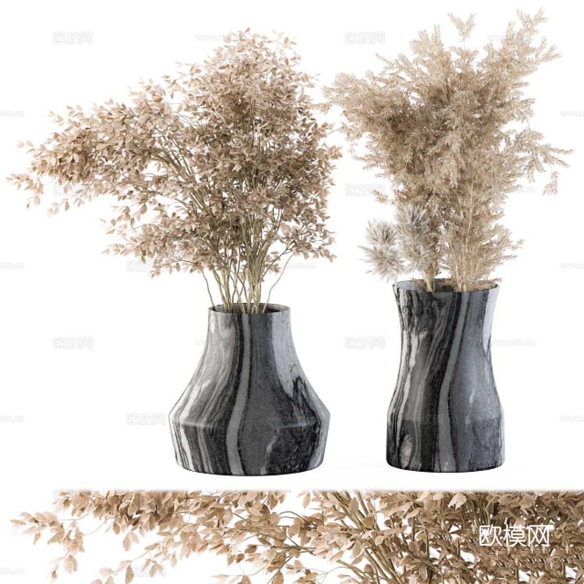 干花植物 43 - 干草蓬蓬草3d模型