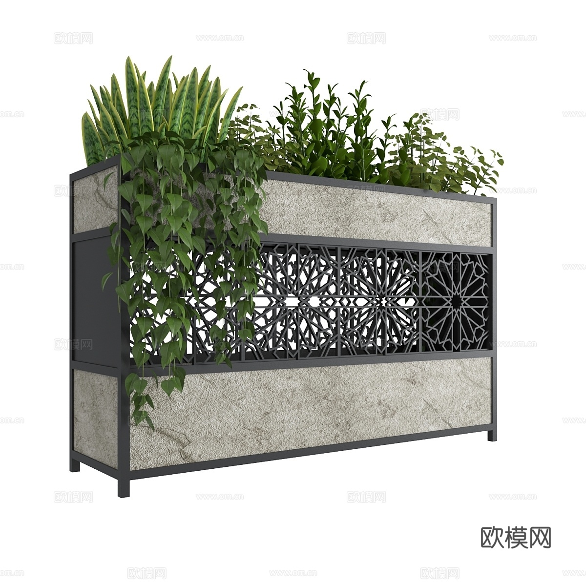 植物系列193d模型下载