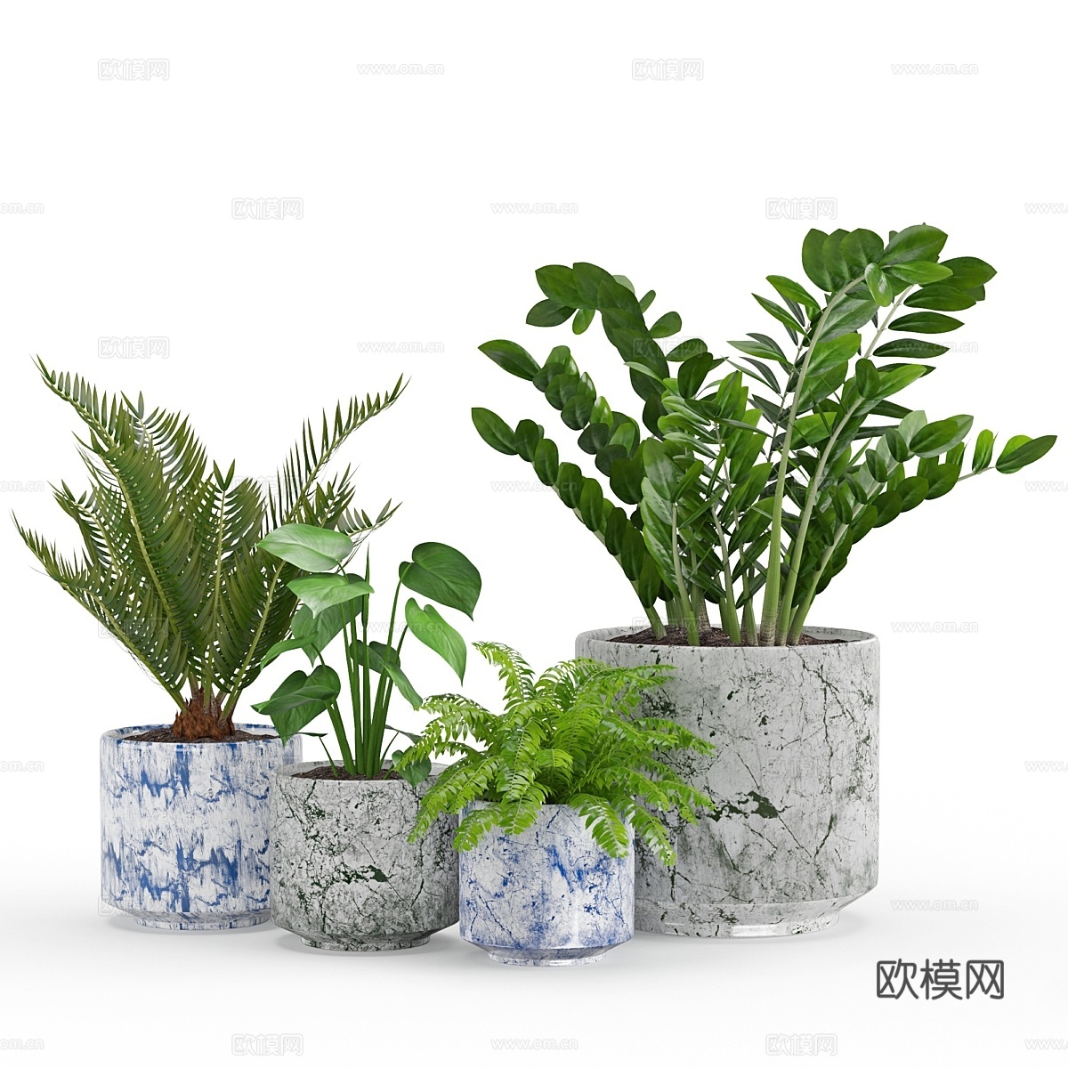 室内植物553d模型下载