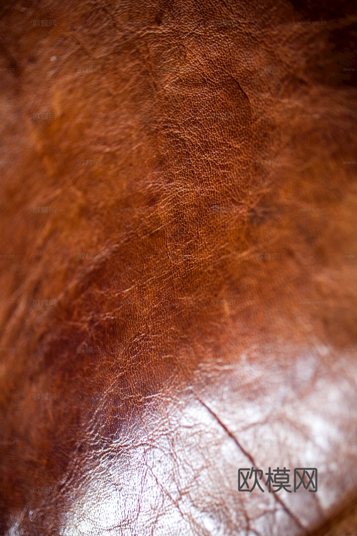 皮革 皮纹 细纹皮革 花纹皮革 粗纹皮革 皮草 软包硬包皮革下载