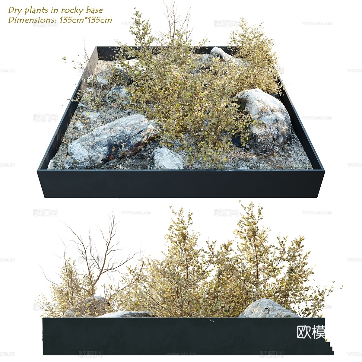 岩石基座干花植物3d模型下载
