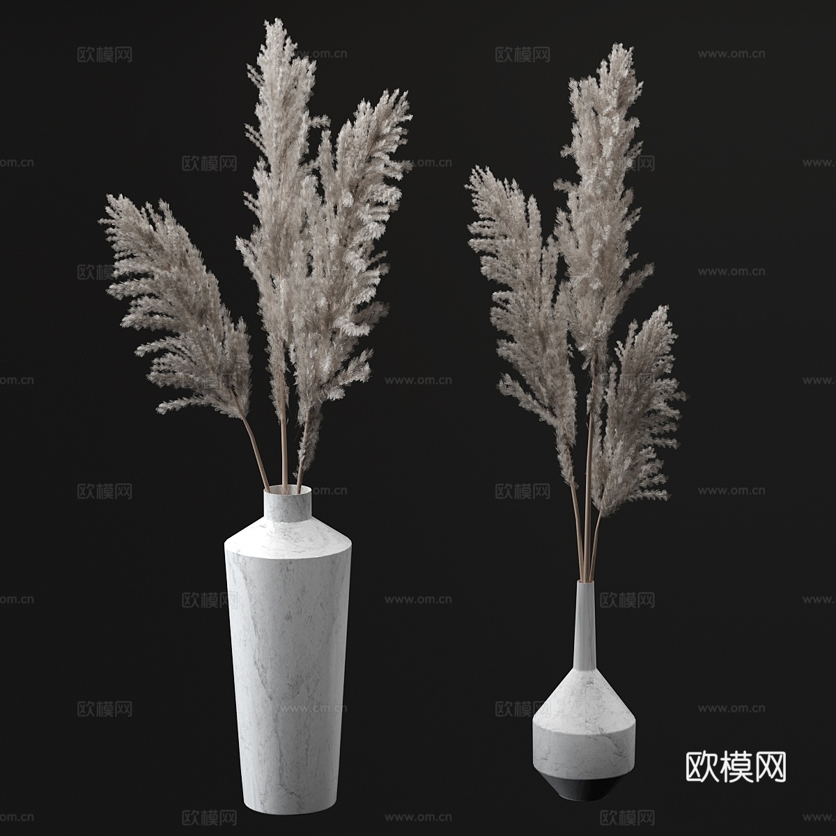 芒草花束3d模型