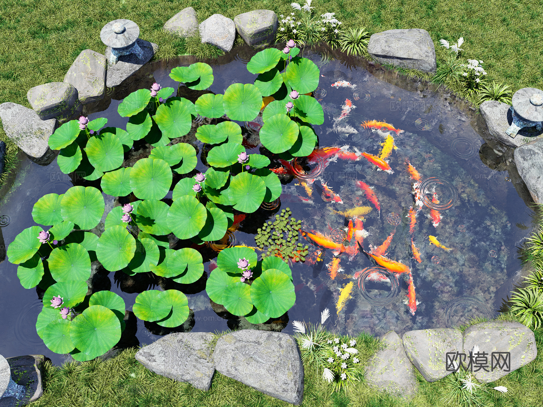 锦鲤鱼群 鲤鱼 金鱼锦鲤组合 红色黄色金鱼 荷花 睡莲3d模型下载（渲染图1）