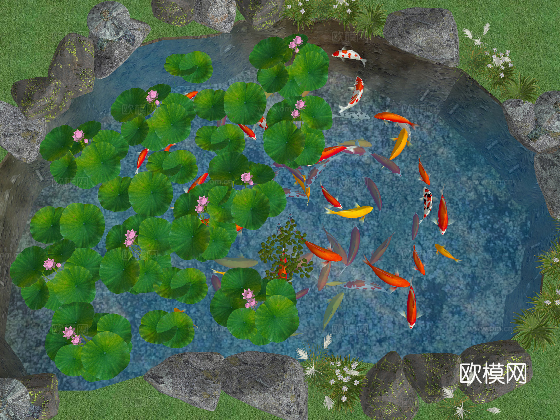 现代锦鲤鱼群 鲤鱼 金鱼锦鲤组合 红色黄色金鱼 荷花 睡莲su模型