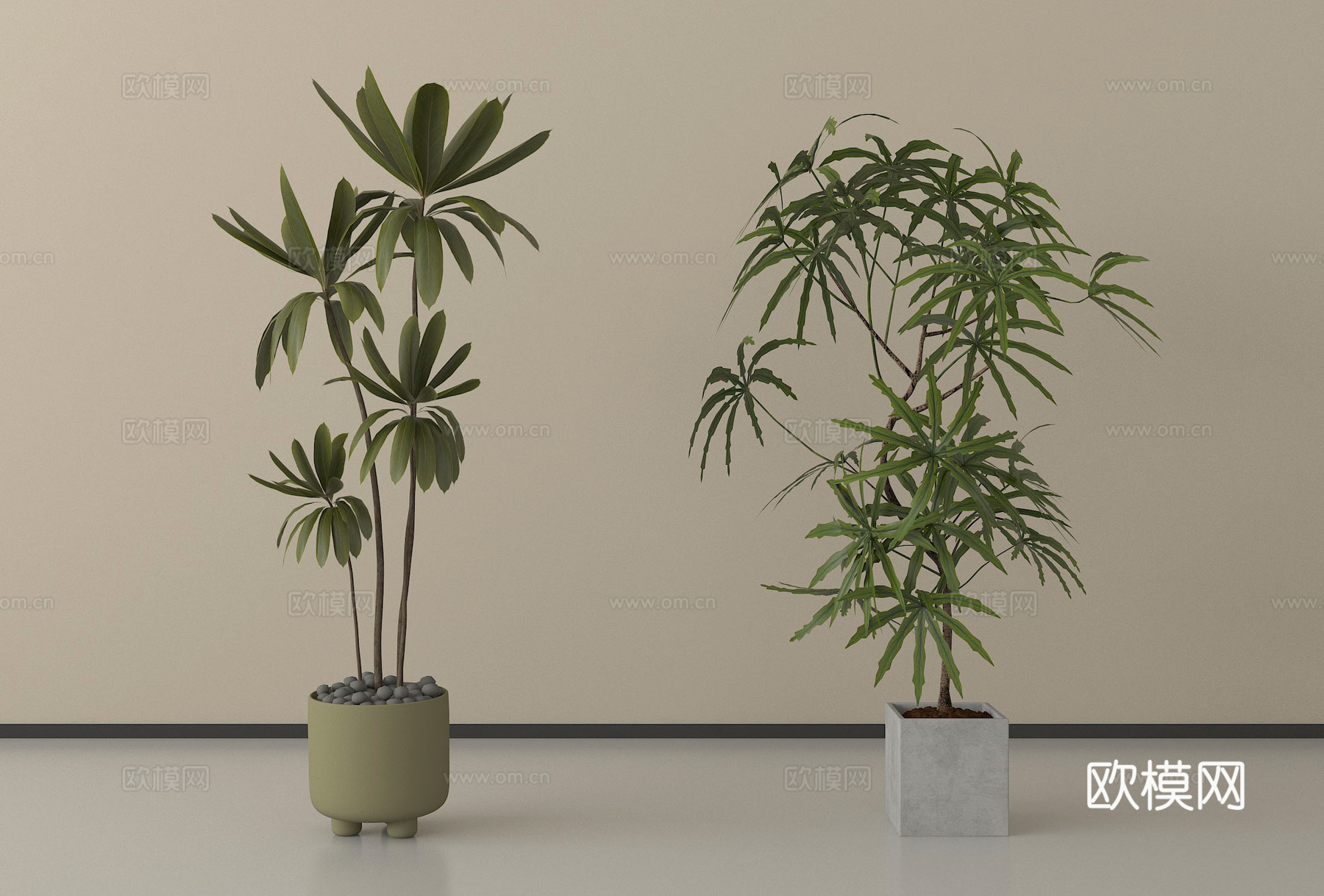 现代盆栽植物 盆栽盆景3d模型下载