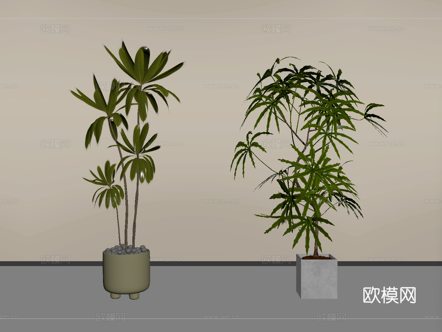 现代盆栽植物 盆栽盆景su模型