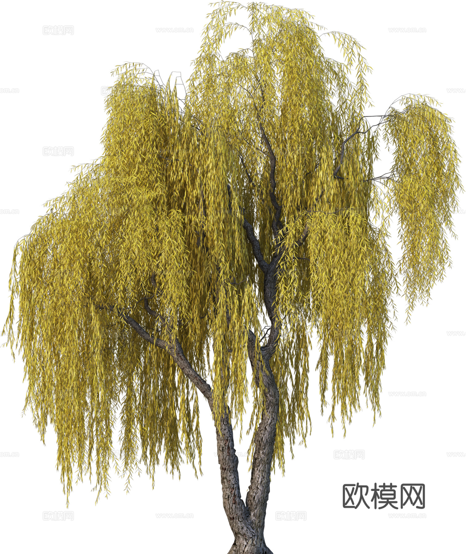 现代乔木植物PNG免抠