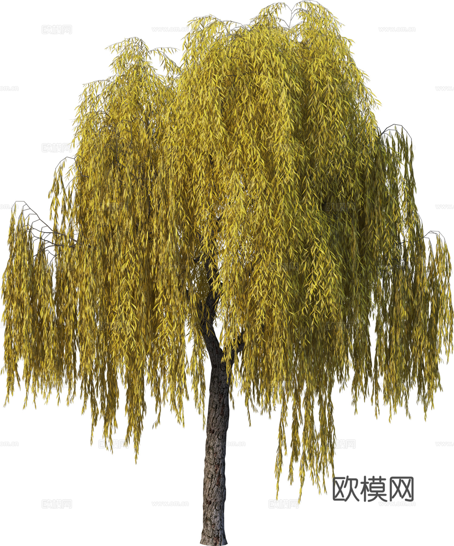 现代乔木植物PNG免抠