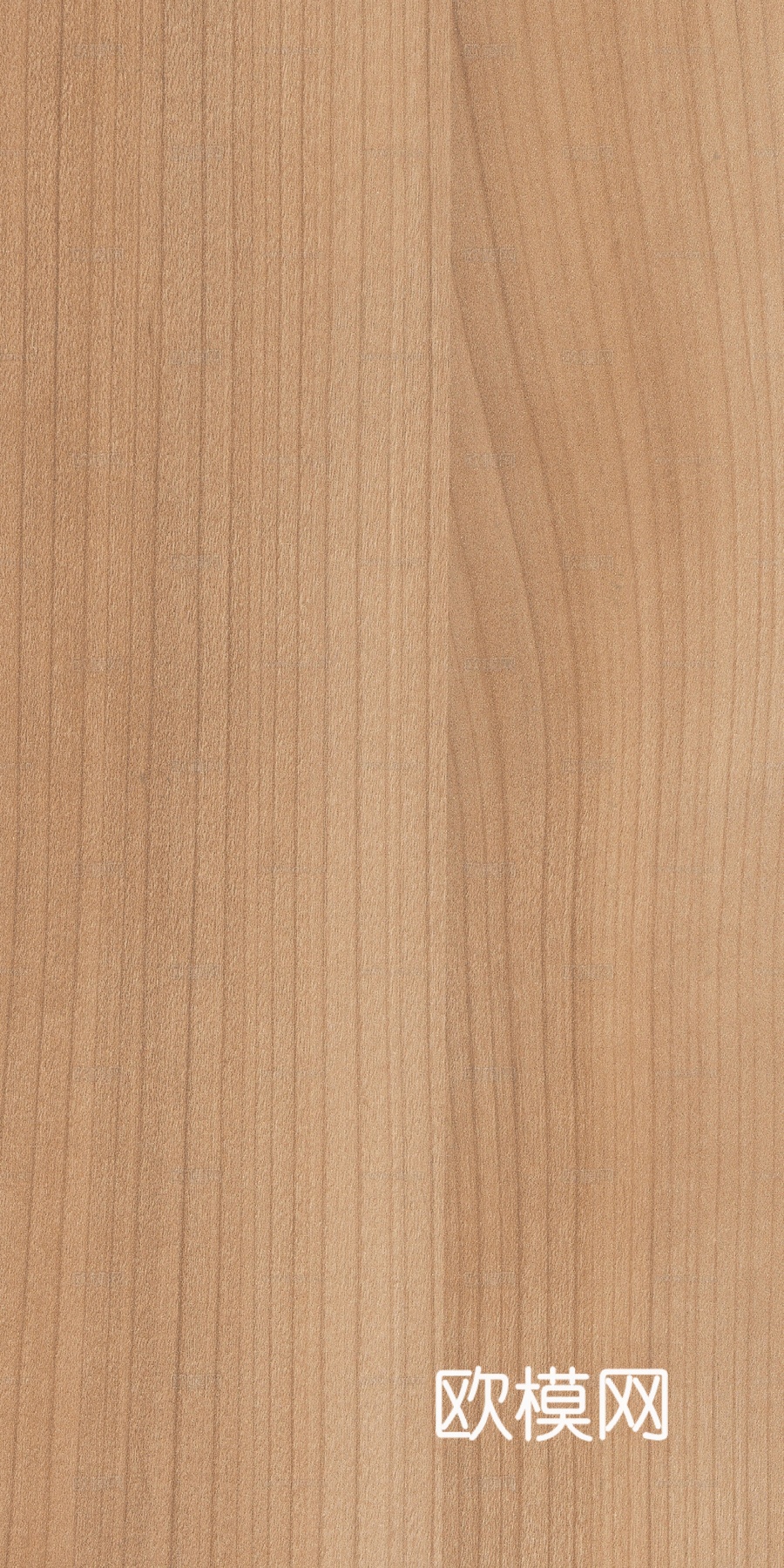 原木木纹木饰面贴图