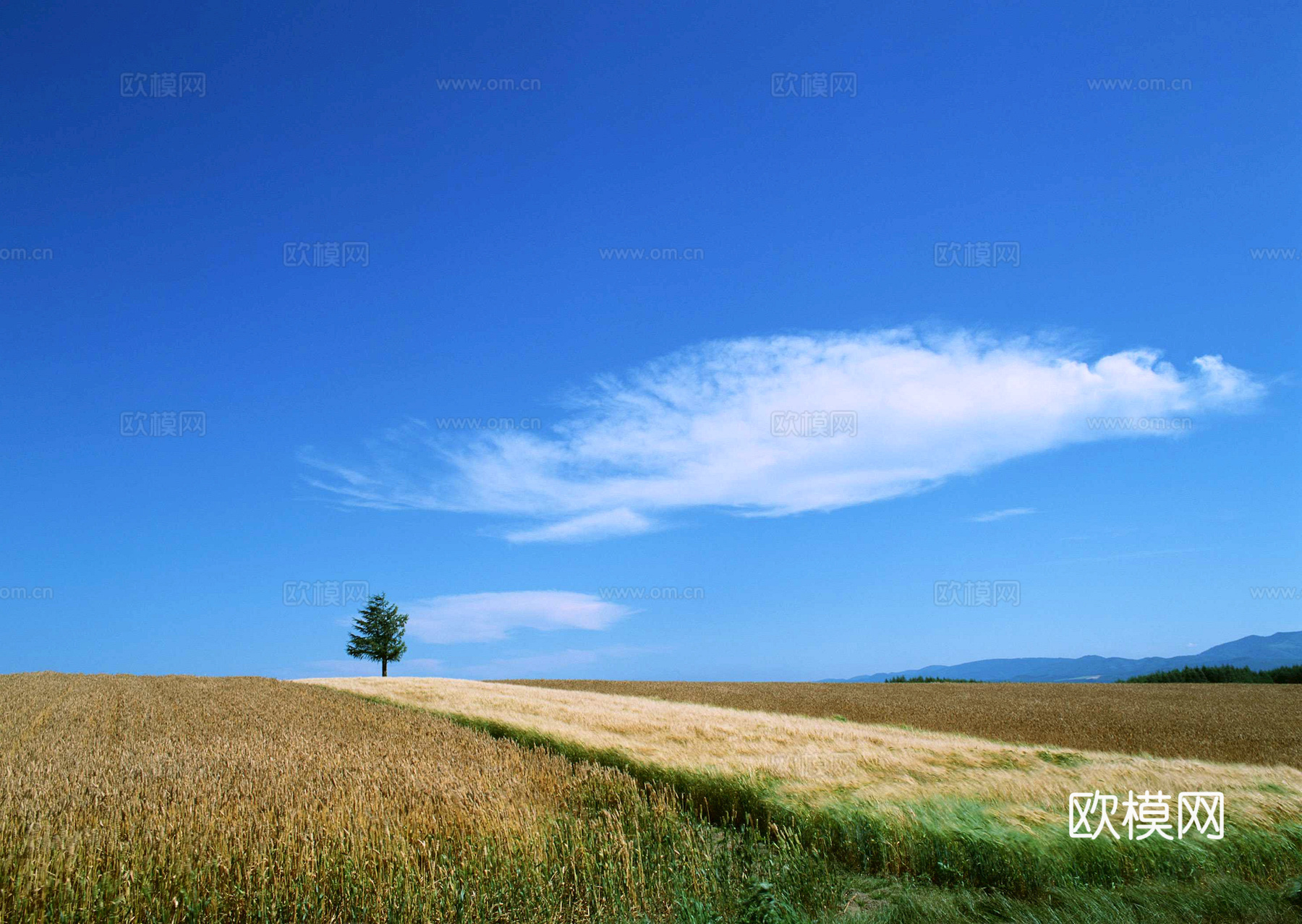 外景 天空 云层 云朵 自然风景 庭院外景 窗外 环境贴图下载