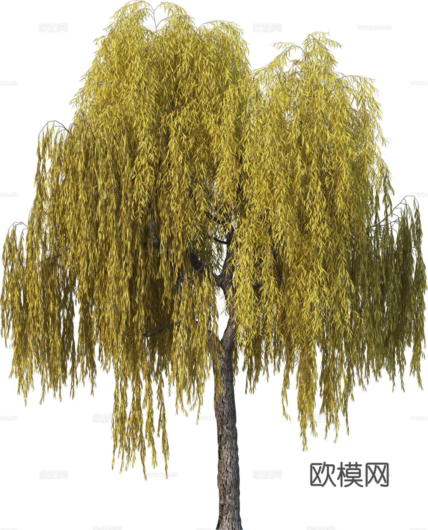 现代乔木植物PNG免抠