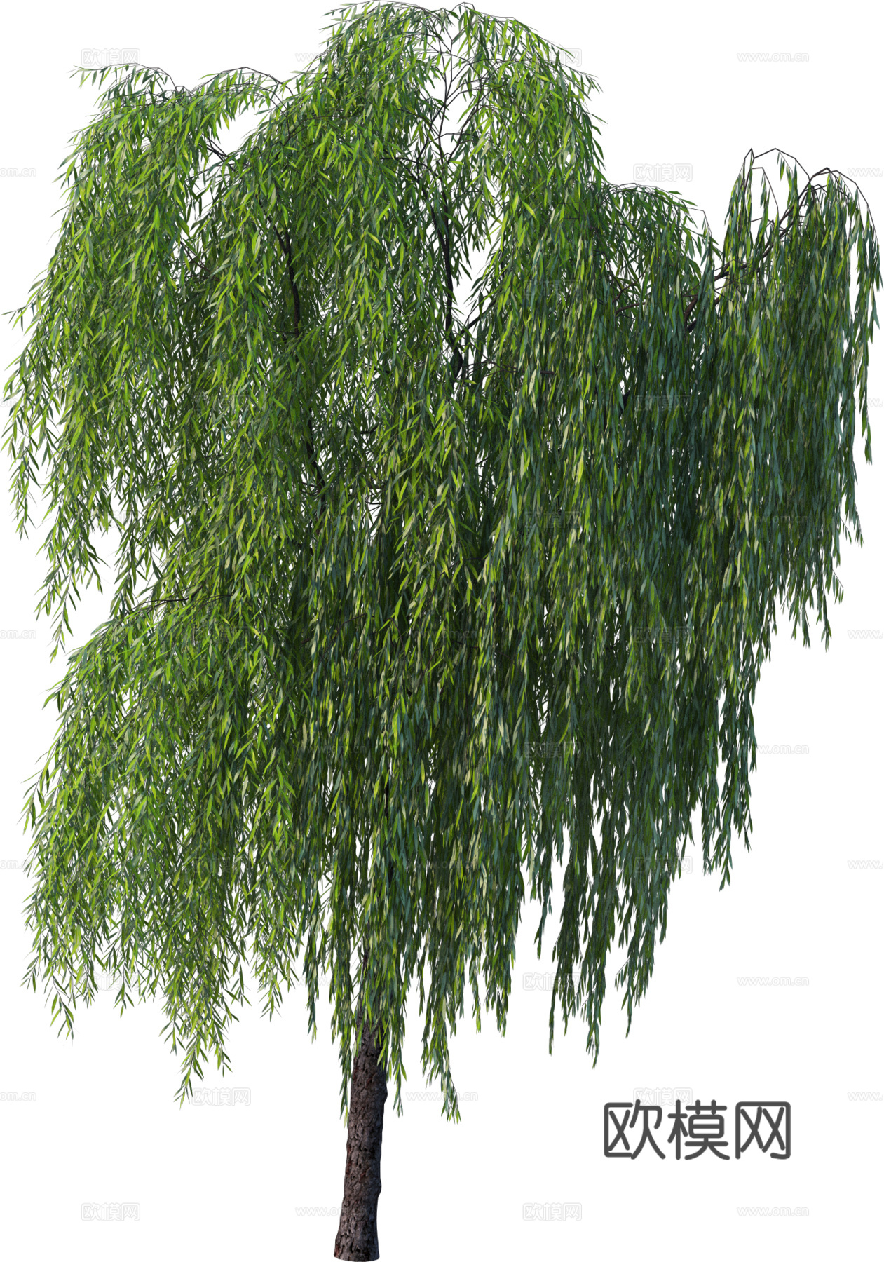 现代乔木植物PNG免抠