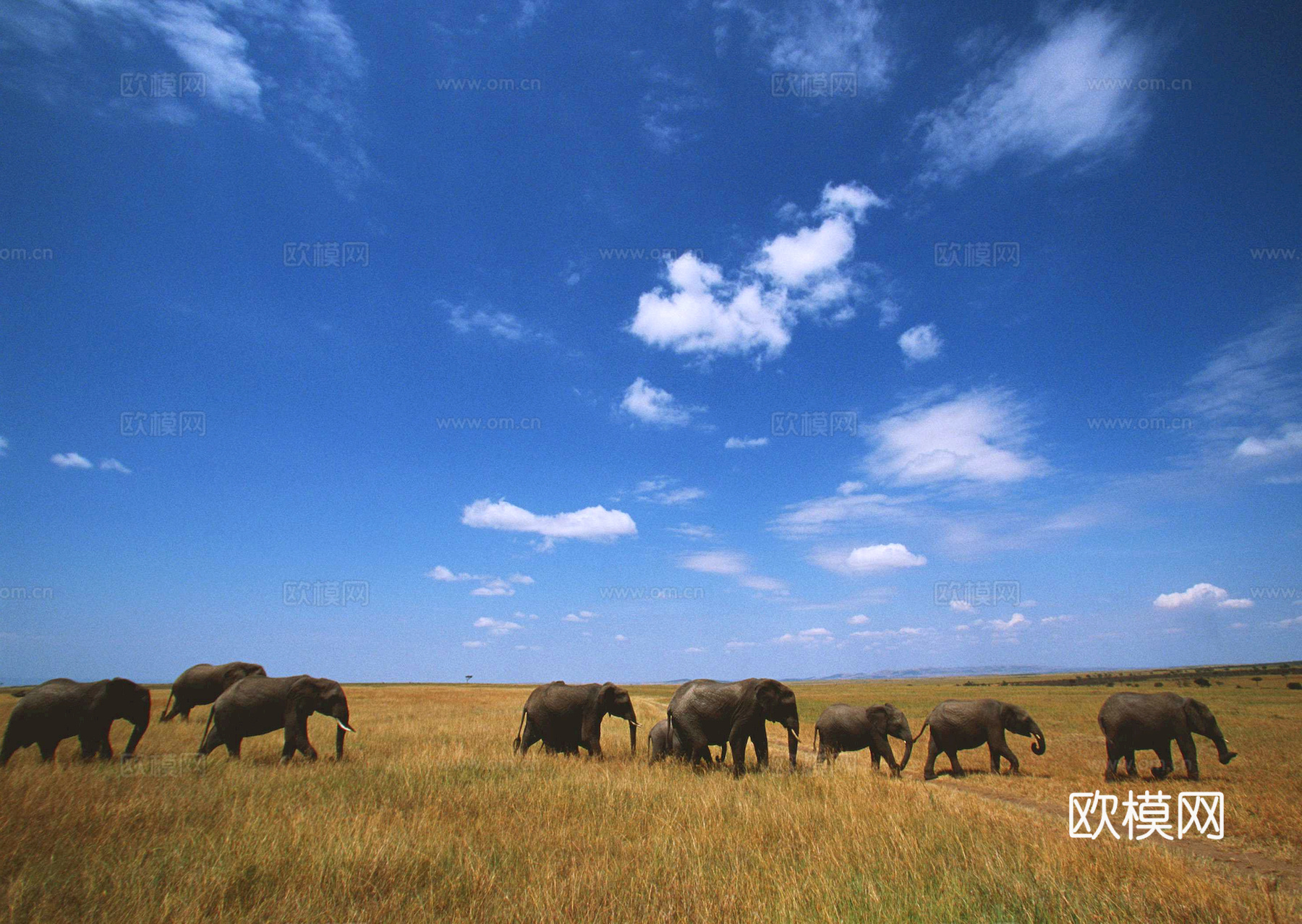 外景 天空 云层 云朵 自然风景 庭院外景 窗外 环境贴图下载