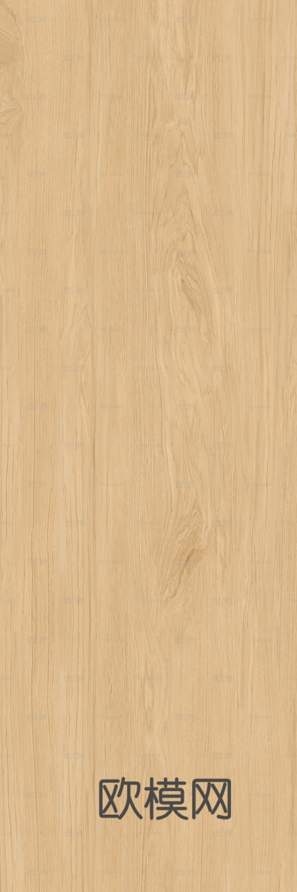 南美枫木木纹贴图